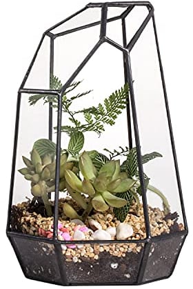 NCYP 10x12,5x19cm Handgefertigtes unregelmäßiges Prisma-Glas geometrische Terrarienbox, für Tischplatte, Sukkulenten, als Pflanzgefäß, die Fensterbank für Farn, Display Blumentopf (ohne Pflanzen)