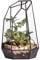 NCYP 10x12,5x19cm Handgefertigtes unregelmäßiges Prisma-Glas geometrische Terrarienbox, für Tischplatte, Sukkulenten, als Pflanzgefäß, die Fensterbank für Farn, Display Blumentopf (ohne Pflanzen)