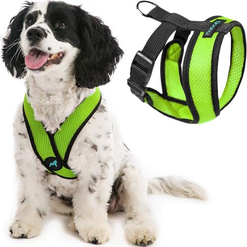 Gooby Comfort X Hundegeschirr zum Ziehen über den Kopf, komfortabel, kein Ziehen, für kleine bis mittelgroße Hunde, Würgeschutz, X-Design, für unterwegs, für Innen- und Außenbereich, Größe L, Grün