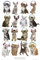 GB Eye Poster Keith Kimberlin Kätzchen mit Kopfhörer, 61 x 91,5 cm, Größe: Maxi