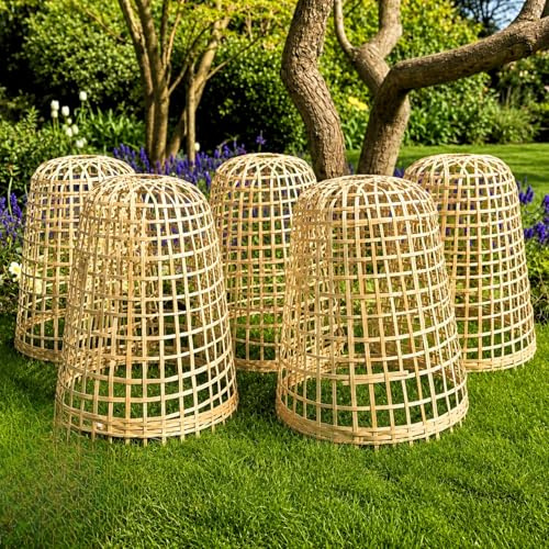 GardenSkill Bamboo Bell Cloche for Garden | Outdoor Plant Protection Cover & Decorative Border Feature | Frost & Pest Guard for Flowers Fruit Vegetables Shrubs (30cm x 40cm H, Pack 5)