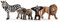 Schleich 42387 - Wild Life Starter Set