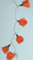 GURU SHOP 20`er LED Lichterkette 20 Stk. - Bastrose Orange, 6x6x350 cm