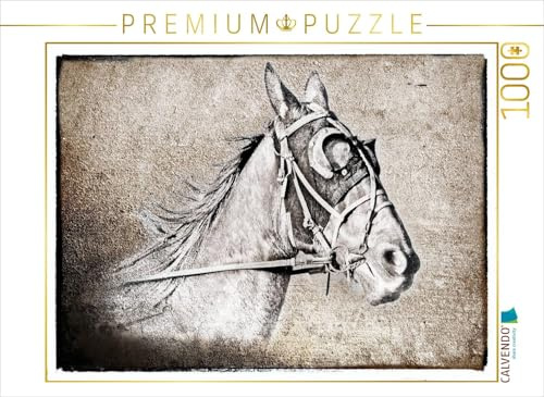CALVENDO Puzzle Der Traber | 1000 Teile Lege-Größe 64 x 48 cm Foto-Puzzle für glückliche Stunden