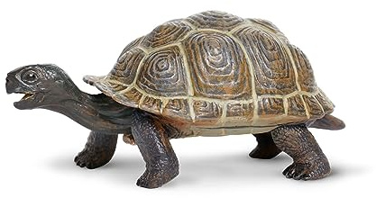 Safari Ltd. Tortoise Baby Figurine - Detailed 5.5 Plastic Model Figure - Fun Educational Play Toy for Boys, Girls & Kids Ages 18M+