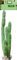 Plage Cactus Decoración Mural Adhesiva Gigante, Vinilo, Verde, 38x0.1x175 cm