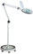 Lumeno dimmbare LED Lupenleuchte 8515GR mit großer 152 mm Echtglaslinse, einstellbare Helligkeitsstufen, geeignet als Arbeitsleuchte, Lupenlampe, Lesehilfe, 5 Dioptrien mit Rollstativ Grau