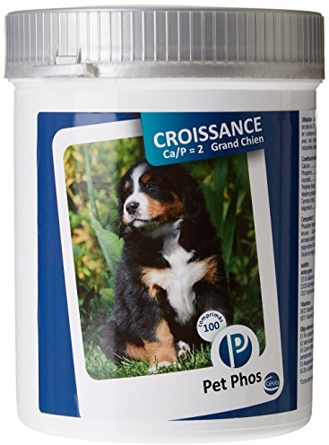 Pet PHOS Croissance CA/P = 2 Grand Chien pour Chiots en Croissance et Femelles gestantes ou allaitantes nourris avec Une Ration ménagère ou Industrielle