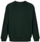 Trutex Crew Neck School Sweatshirt (1-16+ Years), Unisex School Uniform Boys and Girls, Standard Fit School Jumpers for Boys and Girls, School Sweatshirt Kids - Genuine School Uniform Bottle Green