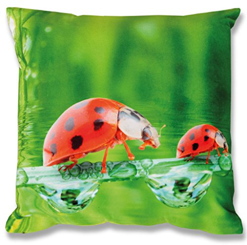Bestlivings Kissenbezug mit Fotodruck 40x40cm, Flauschig weiche Kissenhülle, Bezug mit Reißverschluss, ideal für Dekokissen (Design: MARIENKÄFER/Gras)