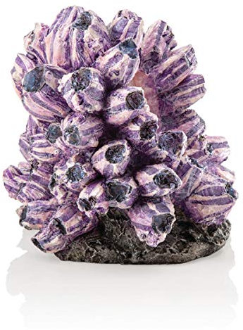biOrb 48359 Rankentraube Ornament – naturnahe Aquariumdeko in Form von lila Polypen auf grauem Felsen | zur Gestaltung von Süßwasseraquarien und Meerwasseraquarien