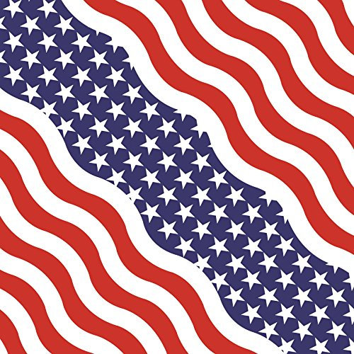 Zanheadgear B005 Premium Bandana 100% Baumwolle gewellt Amerikanische Flagge