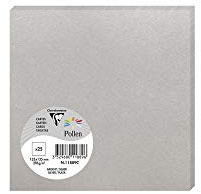 Clairefontaine 11889C - Packung mit 25 Karten Pollen 13,5x13,5cm, 210g, ideal für Ihre Einladungen und Korrespondenz, Silber, 1 Pack