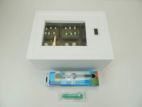 Campo24 ST2 Reptilien Inkubator/Incubator/Brutmaschine/Brutapparat/Brüter/Brutkasten