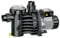 Speck - Pumpen 2191082738 Badu Magic 8 Filterpumpe