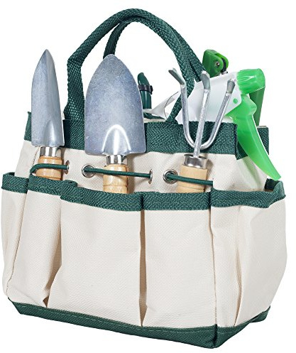 Pure Garden 7-teiliges Gartenwerkzeug-Set – Mini-Pflanz- und Umtopf-Set und Tragetasche Organizer für Sukkulenten, Kräuter und Bonsai-Pflanzen