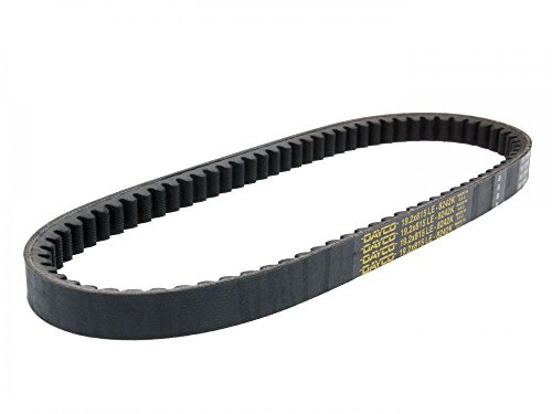 Dayco 8242K Power Plus Keilriemen Kevlar Verstärkt, L815 X B19.2