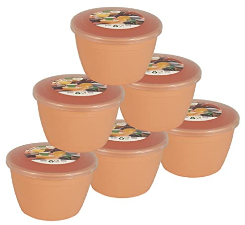 Just Pudding Basins Pastel Colours 1/2 Pint 0.5pt Basin and Clear Lid Pack of 6 Plastic Steaming Bowls (Peach)
