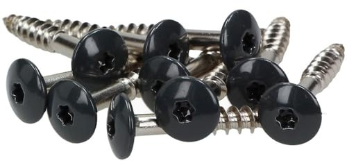 100x MEISTERLING® Fassadenschrauben INOX V4A 5,5 x 25 mm – Flachkopf Torx T20 + 1 Bit – Anthrazit