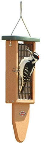 Kettle Moraine Recycled Plastic Double Suet Cake Tail Prop Suet Bird Feeder with Hanging Cable