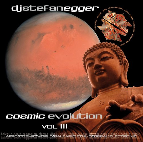 Cosmic Evolution, Vol. III