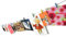 HAB & GUT -MC402- Portafoto da Parete 120 cm con 10 mollette Colorate di Legno