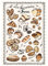 Geschirrtuch Les Viennoiseries Françaises Écru 48 X 72 ekrü 48 x 72 cm Winkler
