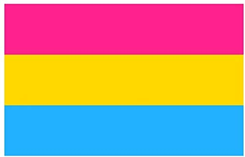 The Jokeshop New Pansexuelle Flagge, Festival Banner Gay Pride, 90 x 150 cm, Polyester