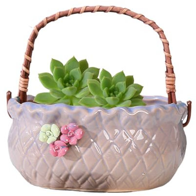 Generisch Succulent Ceramic Pot, Bonsai Ceramic Planter, Garden Planter Pot, Balcony Flower Pot, Modern Ceramic Planter, Indoor Garden Planter, Outdoor Succulent Planter, Decorative Bonsai Pot