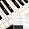 Piano Keyboard Stickers for 88/61/54/49/37 Keys, Piano Notes Overlay, Piano Key Stickers, Keyboard Note Stickers, Transparent and Removablefor Beginners Colorful