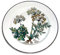 Unbekannt Villeroy & Boch Botanica Pane Piatto 17 cm 10 – 2334 – 2670