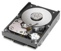 Fujitsu- S26361-F3244-L514 146GB interne Festplatte (SAS, 15000rpm, 8,9 cm (3,5 Zoll))