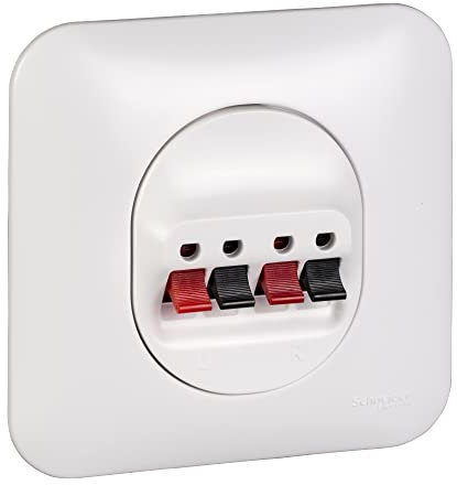 Schneider Electric - Ovalis - Prise haut-parleur 2 sorties- 4 bornes ressorts à vis avec plaque Blanc - S260488