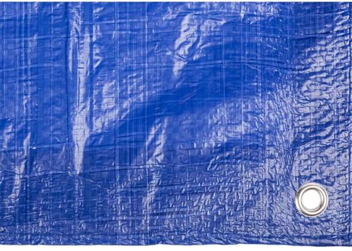 Toldo reforzado gramaje 90 grs, 3 x 2 m, color azul - Catral 560110