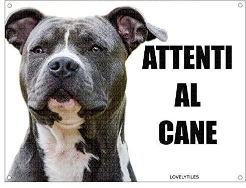 amstaff cuidado con el Perro Mod 3 Placa cartel de metal