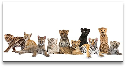 Paul Sinus Leinwandbild 120x60cm Kleine Katzenbabys Tiger Lux Jaguar Gepard Kinderzimmer Süß