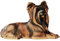 POCHY Yorkshire Terrier Statue, Simulation Hund Ornamente Wohnzimmer Garten Dekorationen Hundestatue,Braun