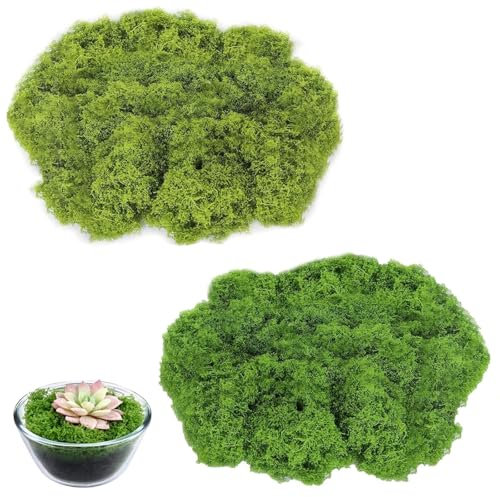 Techchii 200g Kunstmoos zum Basteln, Bastel Moos in 2 versch Farben, Moos zum Basteln Moos Deko Natürliche Grüne Künstliches Moos für Modellbau, Gartenarbeit, Aquarium, Wanddeko