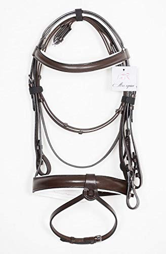 Pets2Care Leder Bonfire gepolstert Trensenzaum braun & weiß 2,5 cm Reithalfter PREMIUM QUALITÄT Show Trensenzaum erhältlich in Full Cob & Pony