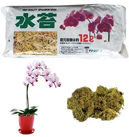 12L Musgo De Esfagno, 25x15x5 Cm Musgo De Sphagnum para Propagación De Plantas, Musgo De Sphagnum De Orquídeas Secas, Musgo Sphagnum para Enraizamiento Plantas Y Esquejes Vid Reptil, Esfagno Natural