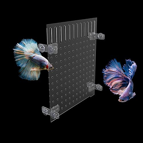 Aquarium Trennwand,Fisch Tank Teiler Acryl Aquarium Tank Trennung Fischseparator Fischseparator Aquarienabscheider Transparente Platte mit 8 Saugnäpfen (25x30 cm)