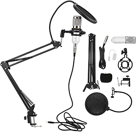 TDHERNXX Kit de Microphone à condensateur BM800, Microphone d'enregistrement Professionnel USB avec Bras Flexible, Son de qualité Studio pour Le Streaming, Le Chant, Le podcasting, (Blanc + Argent)