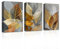 CXHOSTENT Blätter Leinwand Wandbilder 3 Stück graue und goldene Blattbilder Kunstdrucke Naturpflanzen Bilder für Heimdekoration gerahmt (B, 28.00 x 35.00 cms x 3PCS)