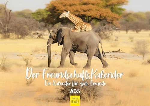 Edition Seidel Premium Kalender Der Freundschaftskalender 2025 Format DIN A3 Wandkalender für gute Freunde Bilder mit Tieren Zitate Lebensweisheiten Inspiration Motivation