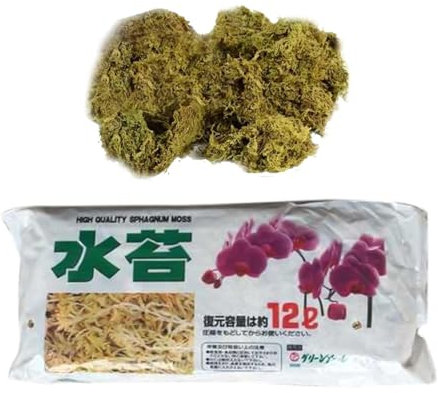 Sphagnum Moos für Pflanzen und Terrarium, 125 g Moos für Orchideen Terrarien und Andere Zimmerpflanzen Lebendes Torfmoos Peat Moss