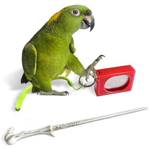 Papageientraining Clicker mit Zielstab, Erste Schritte Vogelklicker Trainingsset, Haustier Trainingsstab Fördern Disziplin und Verhaltenstraining für alle Vogelrassen