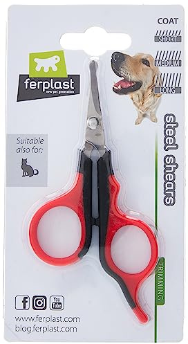 Ferplast Dog and Cat Shearing Scissors, Stainless Steel Blades and Rounded Tips, Suitable for Short, Medium and Long Hair