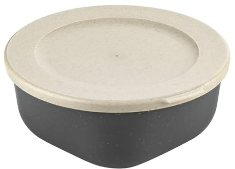 Koziol Box mit Lid 700 ml Connect Box 0,7