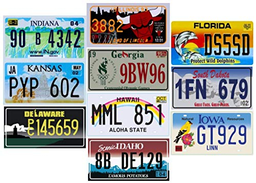 - Lote de 10 Placas DE Licencia de 10 Estados Diferentes de EE. UU. - Réplica de Placas de automóvil de Metal Reales de EE. UU. (P2)