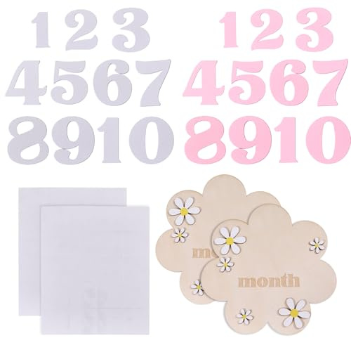 CHGCRAFT 2 Set 2 Colors Baby Monthly Milestone Cards Flower Shape Monthly Milestone Discs with Announcement Sign for Baby Growth